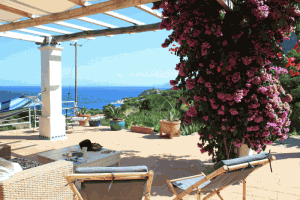 Ferienhaus Elba Lastminute mieten